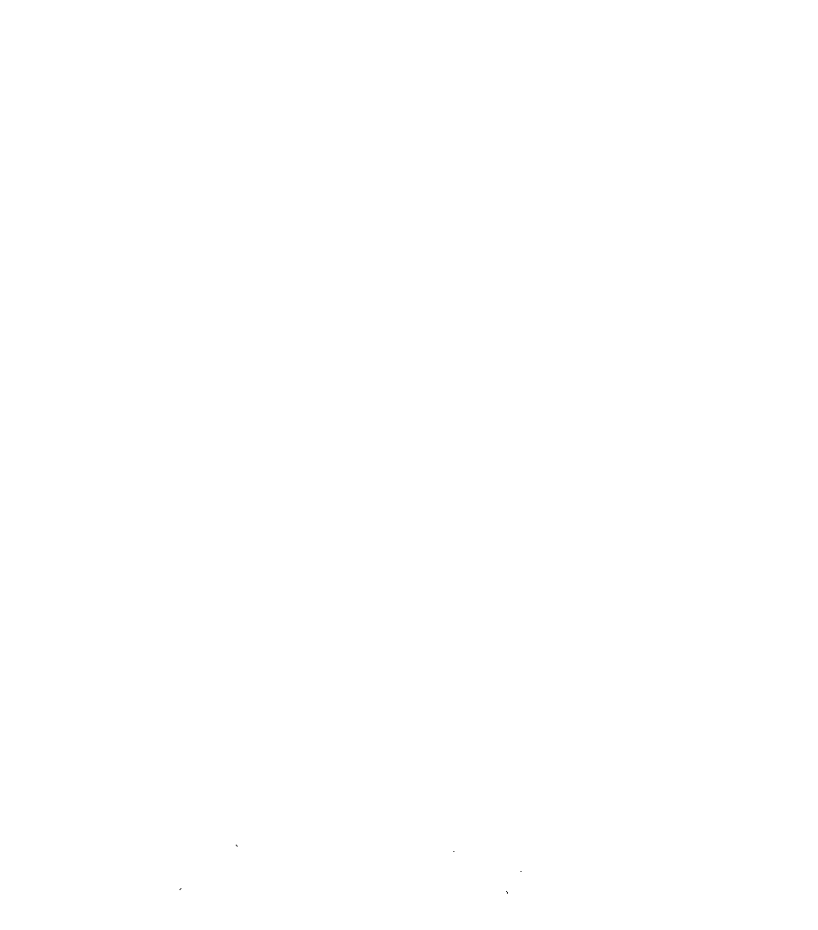 Llaca, marsupial de Chile